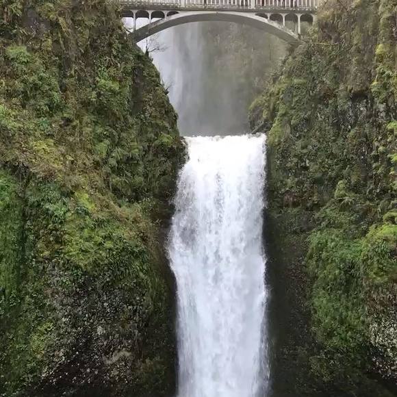 Meet your Posher, Kristi - Picture 1 of 1